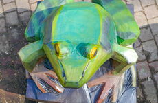 Frosch Rücken