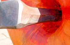 Detail Apfel